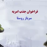 امریه سرباز روستا