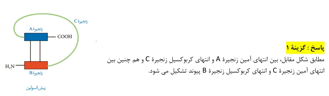 پاسخ تشریحی سوالات زیست شناسی کنکور تجربی سوال 17