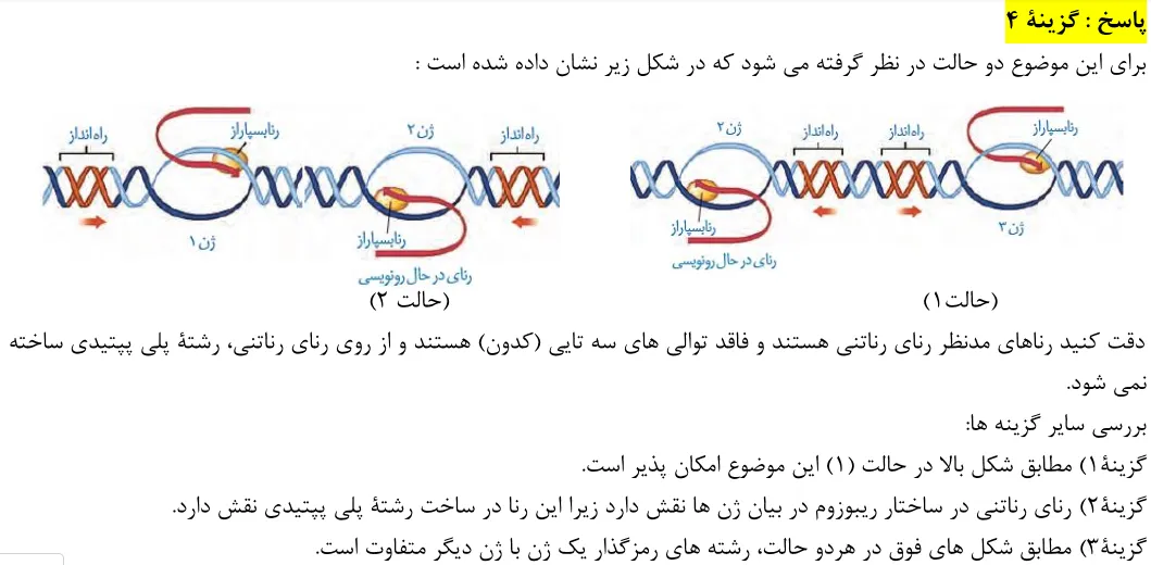 پاسخ تشریحی سوالات زیست شناسی کنکور تجربی سوال 6